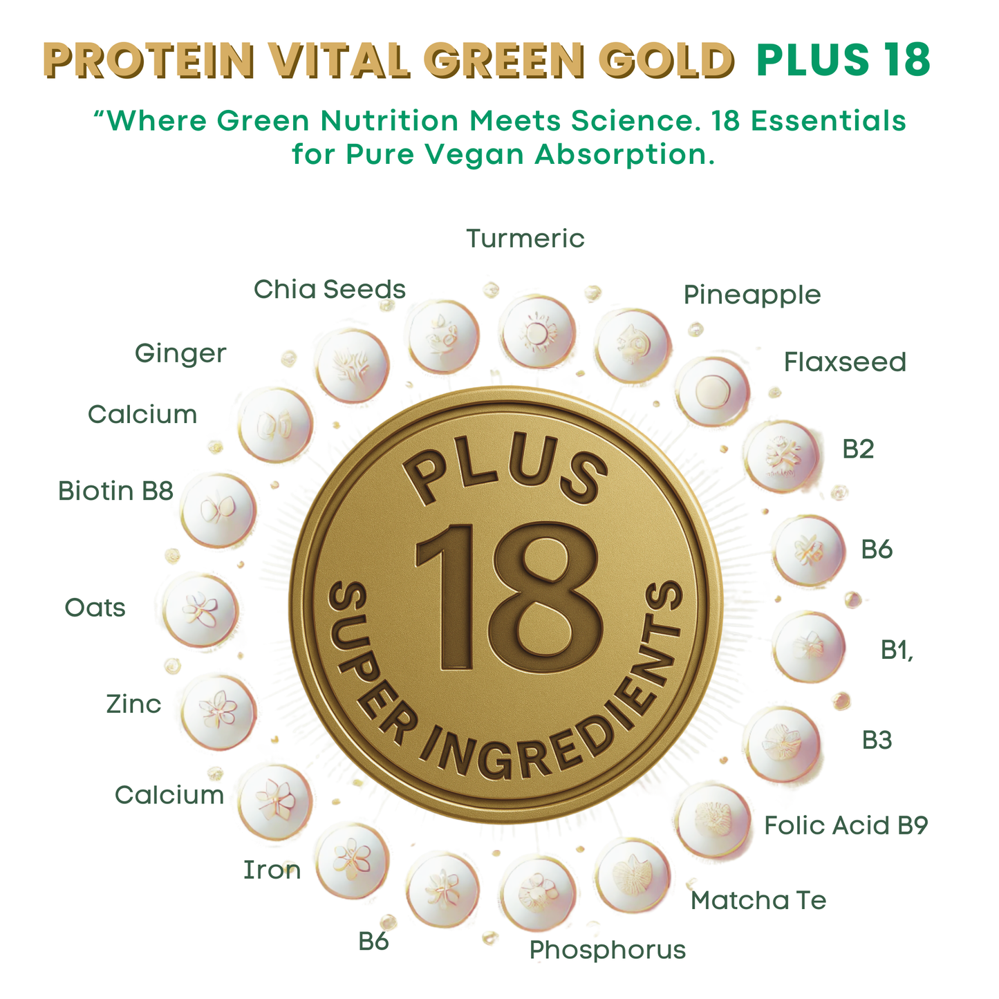 Protein Green Gold Plus 18 - Vegan Protein Whit 18 Super Ingredients.