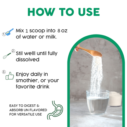 Protein Green Gold Plus 18 - Vegan Protein Whit 18 Super Ingredients.